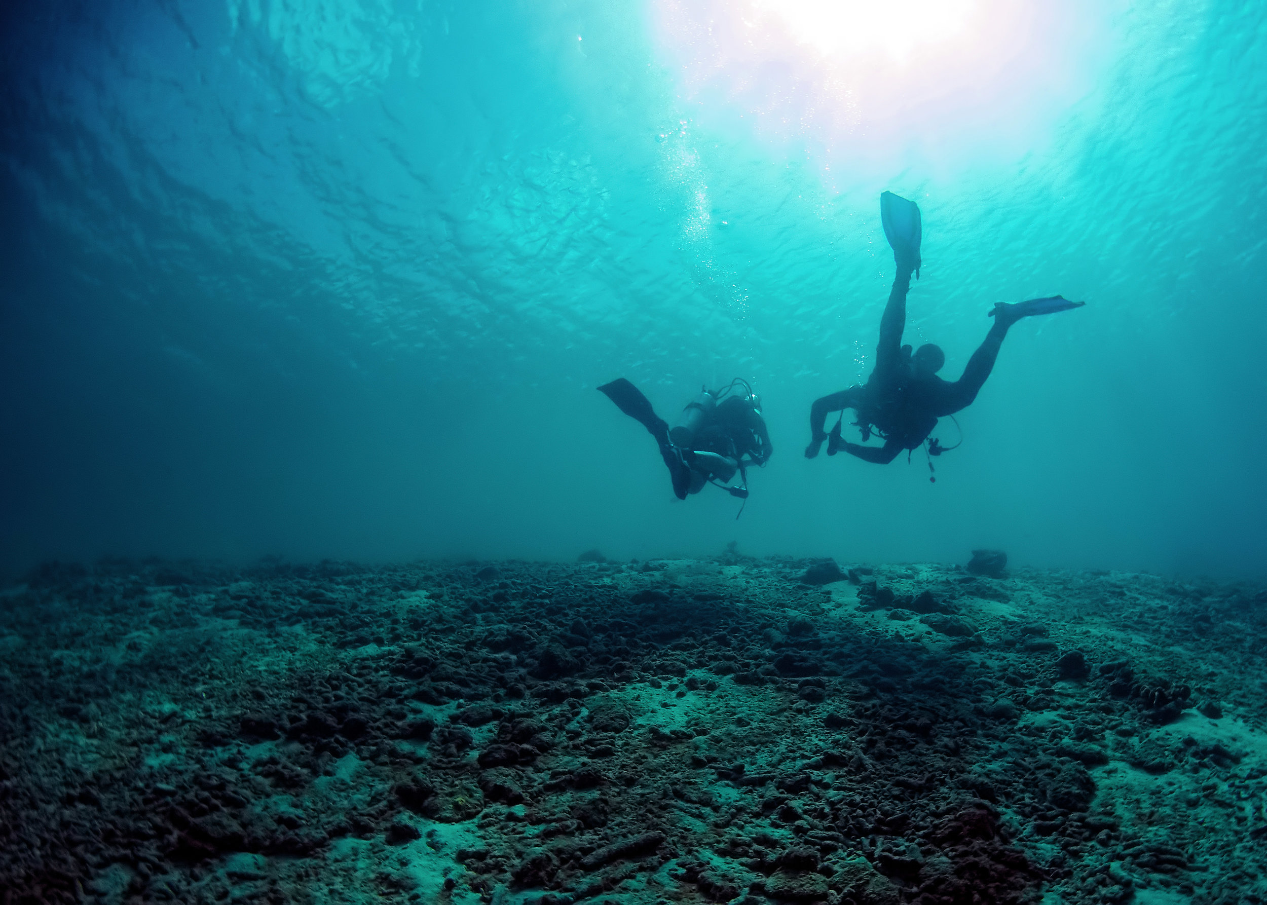 Bonaire VITB Underwater Images DSC_8303.jpg