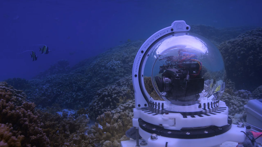 Image Courtesy Netflix - Chasing Coral 3.jpg