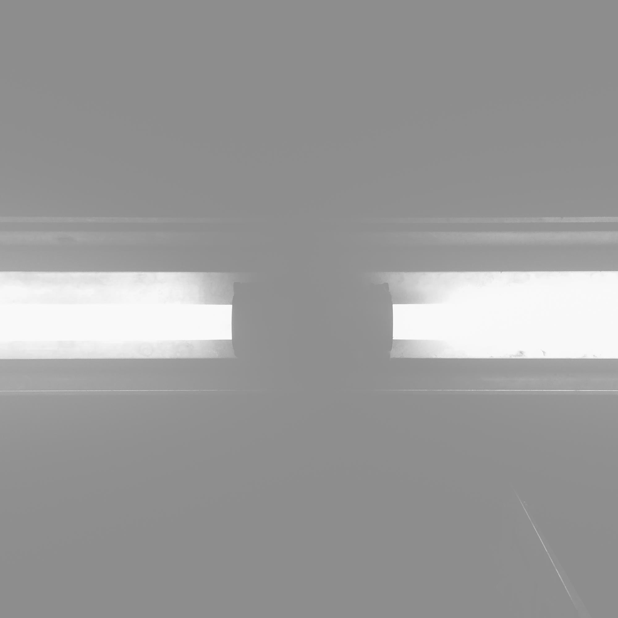 Pellentesque Risus Ridiculus