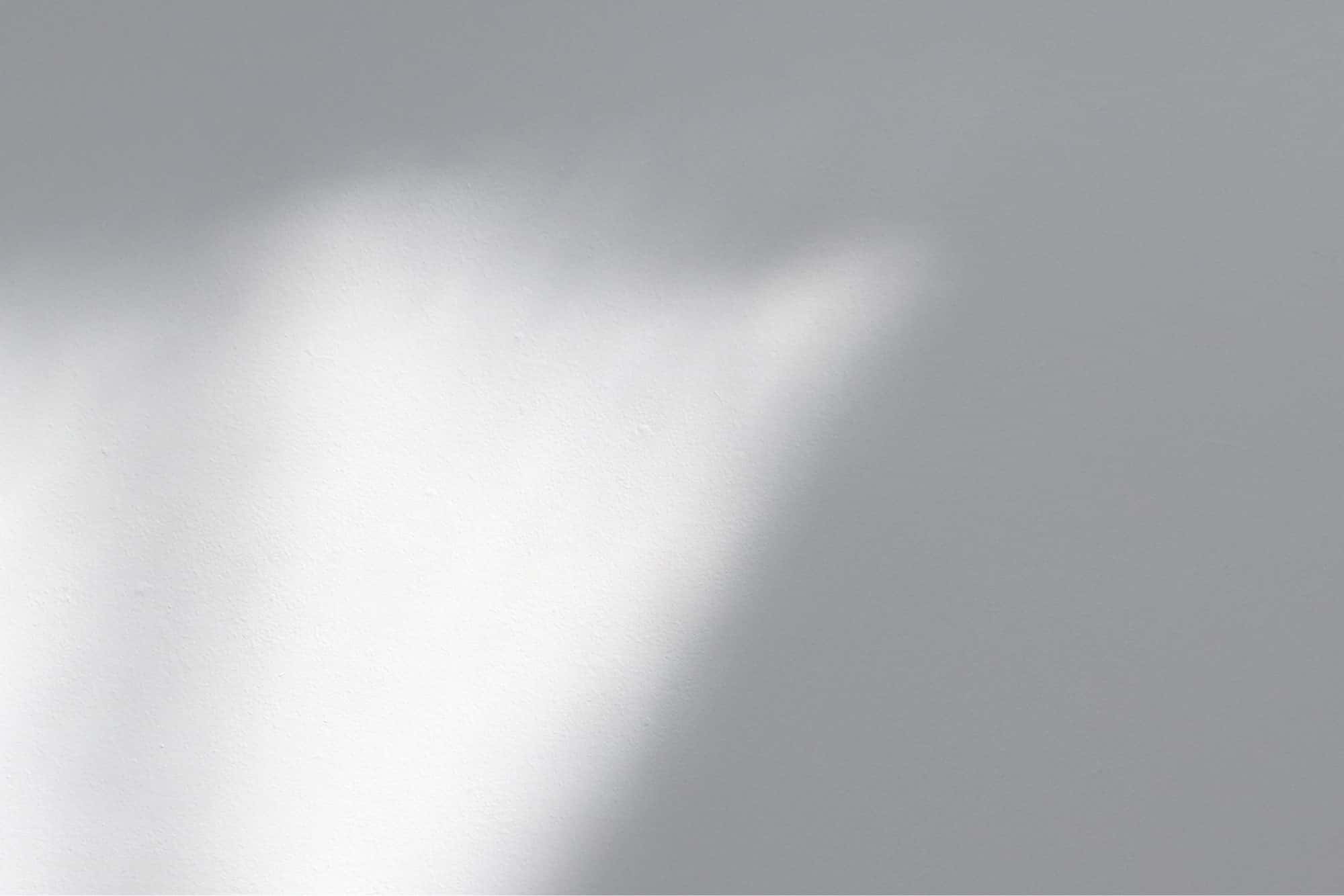 Vulputate Commodo Ligula